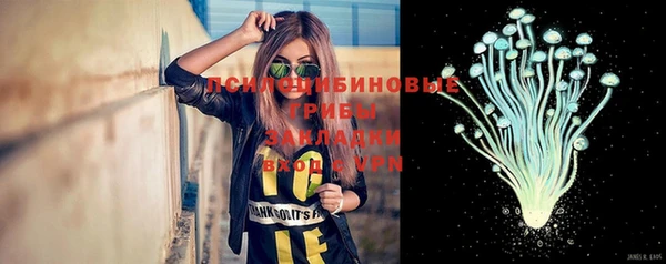 а пвп мука Абаза