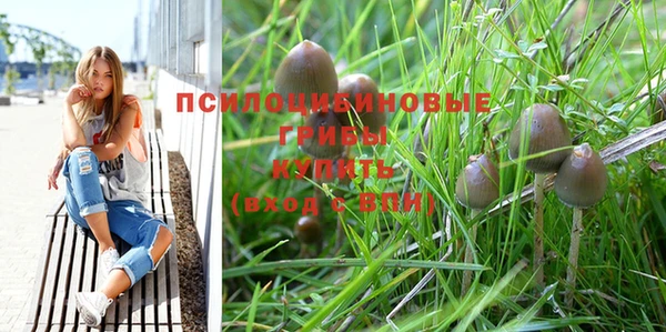 а пвп мука Абаза