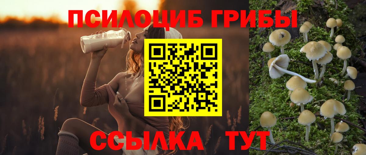Истра  Псилоцибиновые грибы прущие грибы  как найти   Вход с VPN 