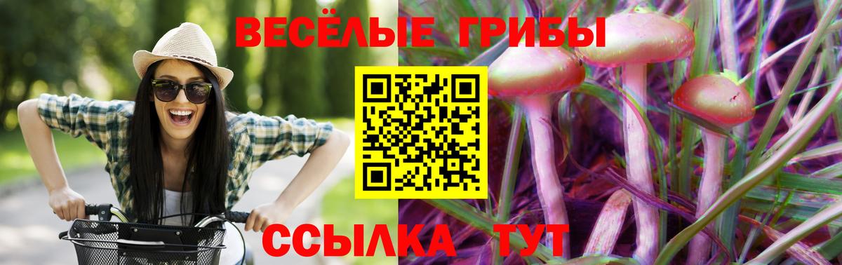 Псилоцибиновые грибы Cubensis Истра